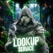 337Lookup