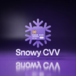 SnowyCVV