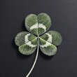 luckyssn