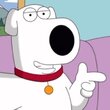 BrianGriffin
