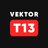 Vektor T13